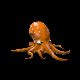 Octopus